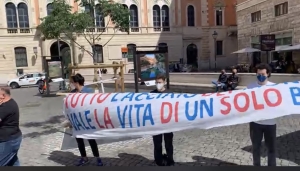 STOP INQUINAMENTO/ In attesa della sentenza Genitori Tarantini in presidio a Roma